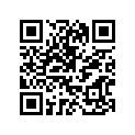 538-21705-00-36 