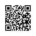 538-24110-00-07 
