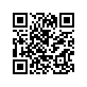 538-24110-00-X2 