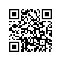 538-24711-00-00 