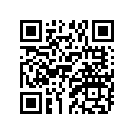 538-24726-00-00 