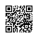 538-26321-00-00 