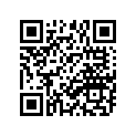 538-27411-00-35 Footrest 1