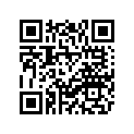 538-W2471-00-00 