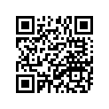 539-14181-06-00 