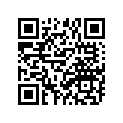 539-23101-01-00 
