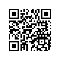539-23345-00-00 Кронштейн нижний