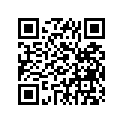 539-81300-10-00 