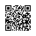 539-81313-10-00 