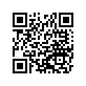540171217 