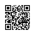 5411-787 DECAL,SIDE-VR-LH