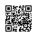 54110-27300 