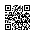 54111-45101-291 