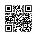 5414133 SKI STOP, RUBBER