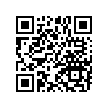 5415822 BSHG-RUBBER,SDLBAG,TOUR,LTHR