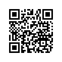 5432653-237 HANDLE,GRAB,W.GRP,SL2