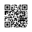 543384 Protector