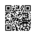 5437745-177 POD-HDLT,UPR,PNTD,BLK MET