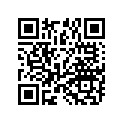 5450214-675 LID-SDLBAG,RH,PWHTSMK