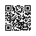 5452568-581 DASH-SILVER SMOKE