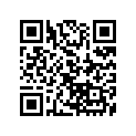 5452568-601 DASH- M. VOG. SILVER