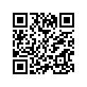 5452568-763 DASH-SLVR GLTR