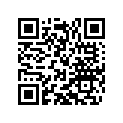 54531623145 Main jet 145