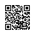 5456048 ACCENT,SBAG,LH