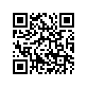 5456049 ACCENT,SBAG,RH