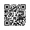 54839131600 ELEKTRONICBOX 250 SX 13