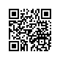 550-25381-00-00 