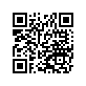 55028-0456-25X 