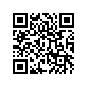 55028043125Y 