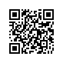 55028049821Q 