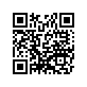5504953845Y 