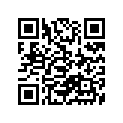 55100-02500-000 Tire, 2.75-10-2pr (irc)