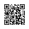 55100-08011-000 Tire (3.00-16) irc