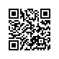 55100-20565-000 Tire (2.75-21)