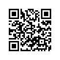 55100-33211-000 Tire (3.25s19)