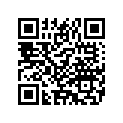 5510111 WHL,FR,SLOT,BLKWSLVR,19