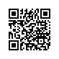 5510611 WHL,RR,SLOT,BLKWSLVR,18