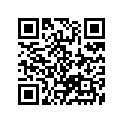 55110-16D00-000 Tire, front (2.25-17 33l)(irc)