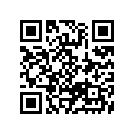 55110-29G00-000 