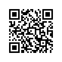 55313-17200-13L 