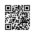 55431029480 MAIN JET 480