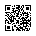 55431029560 MAIN JET 560