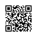55431029600 MAIN JET 600