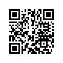 55541013000 Injektor top left