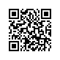 55730038000 Zylinder + Kolben kpl. 19