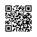 558-24247-00-00 GRAPHIC,FUEL TNK 4